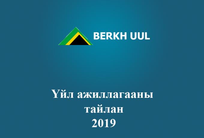 Activity report