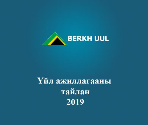 Activity report